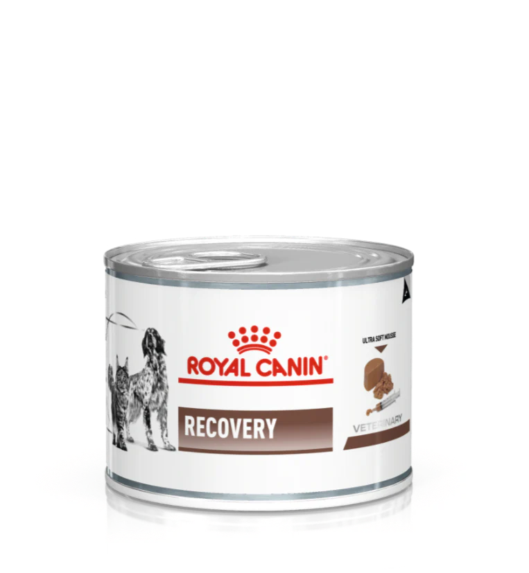ROYAL CANIN® Veterinary Diet Dog & Cat Recovery Mitrā barība suņiem un kaķiem atlabšanas periodā, 195g