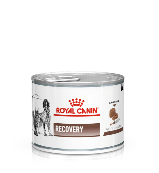 ROYAL CANIN® Veterinary Diet Dog & Cat Recovery Mitrā barība suņiem un kaķiem atlabšanas periodā, 195g