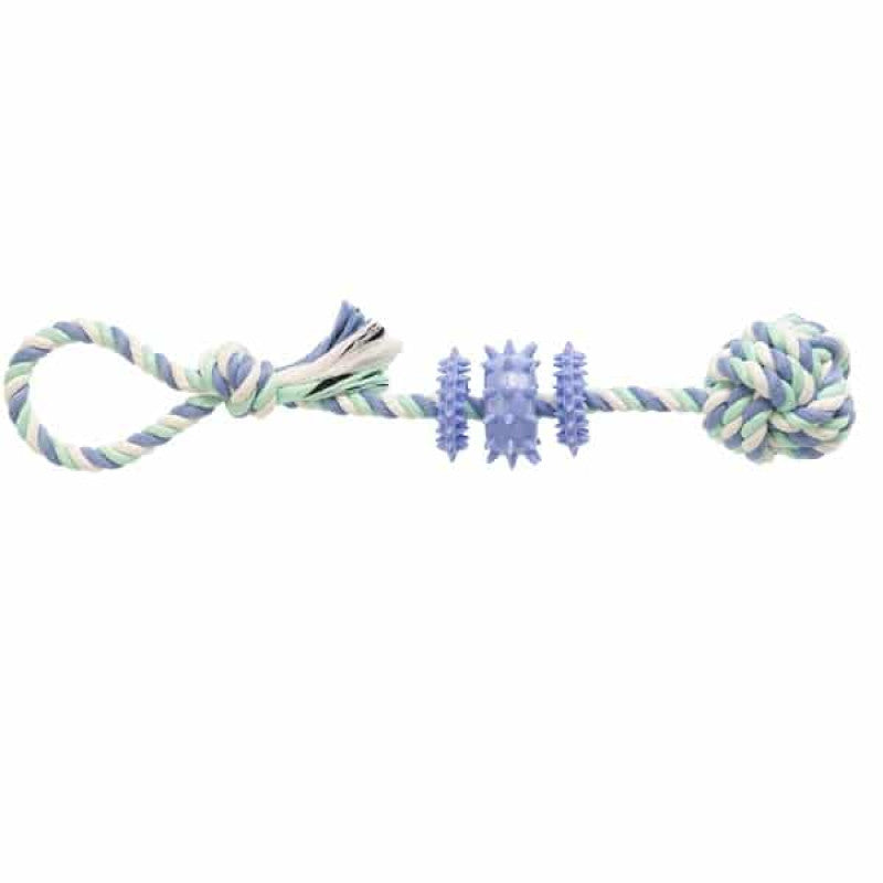 Rotaļlieta dzīvniekiem : Gimborn Dog Cotton Dent Plus Corda 39cm