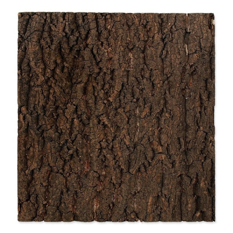 Repti Planet Background cork natural 43,5x41x20cm