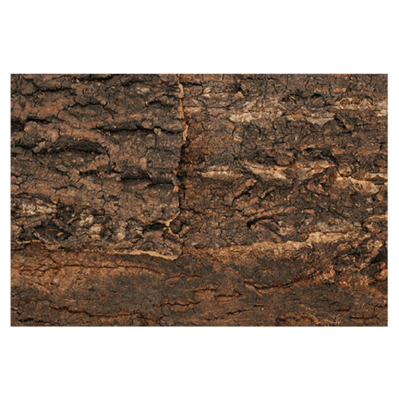 Repti Planet Background cork natural 29x27,3x2cm