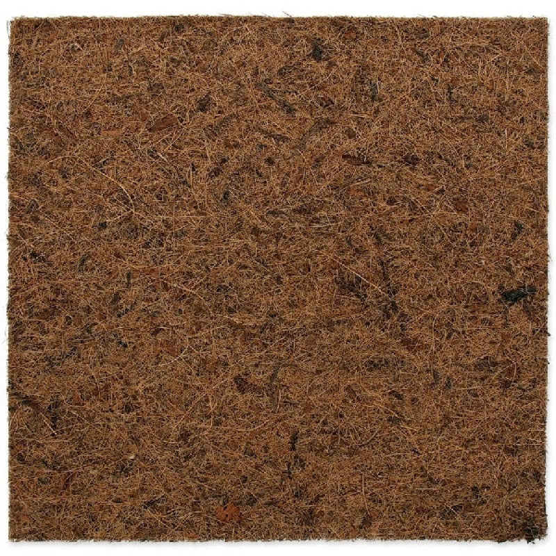 Repti Planet Coco Terrarium Background 30x30cm