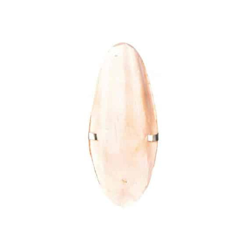 Bird Treat Cuttle Fish Bone with Holder 12cm