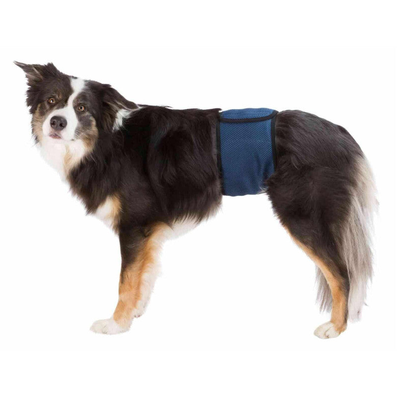 Trixie Pañales para perros machos, material de malla, XL: 65–75 cm, azul oscuro