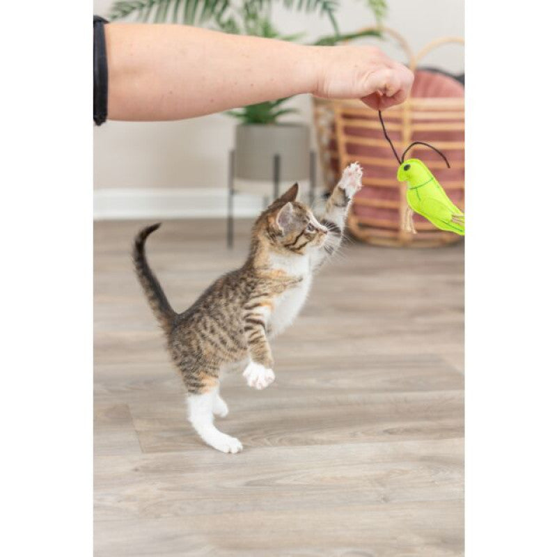 Katzenspielzeug komplett