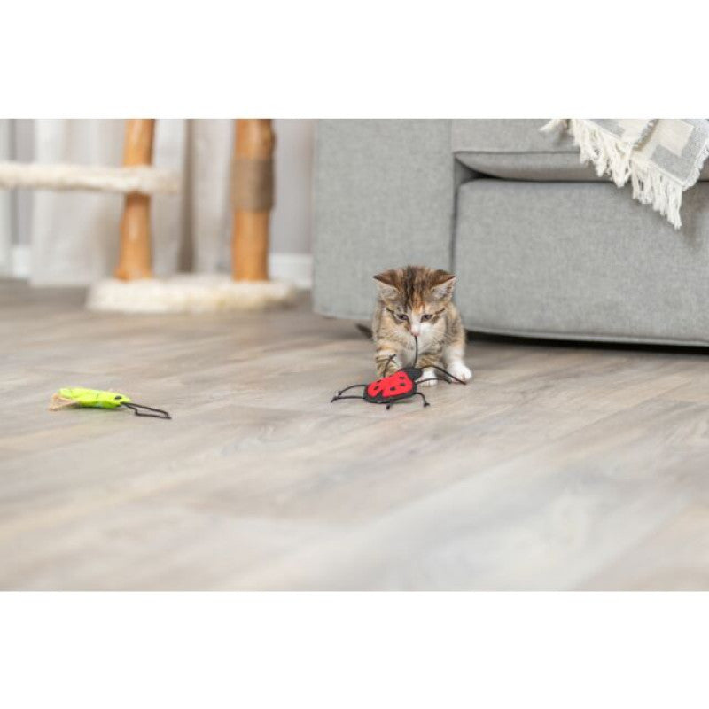 Katzenspielzeug komplett