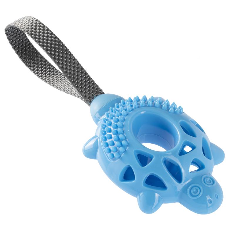 Chien Gimborn IN&OUT TORTUE