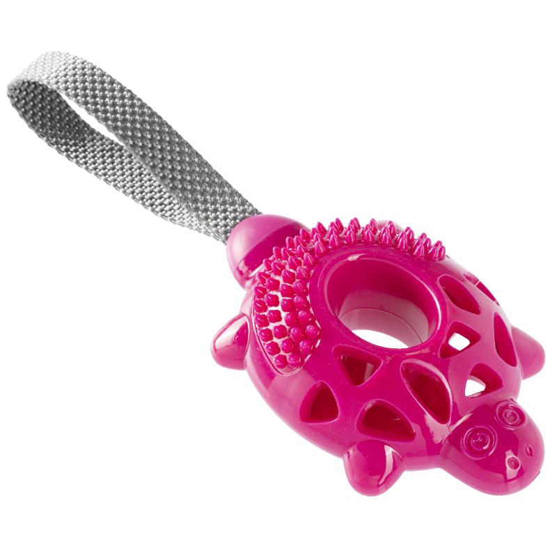 Chien Gimborn IN&OUT TORTUE