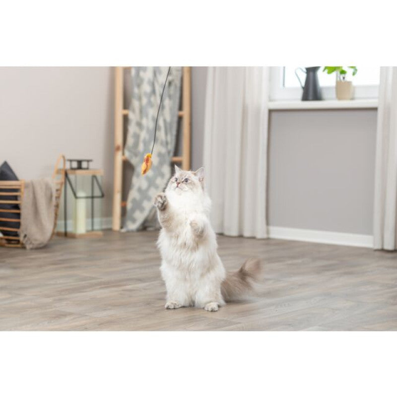 Juguetes para gatos completos