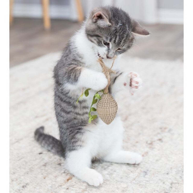 Katzenspielzeug komplett