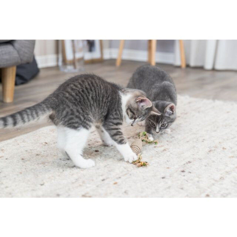 Katzenspielzeug komplett