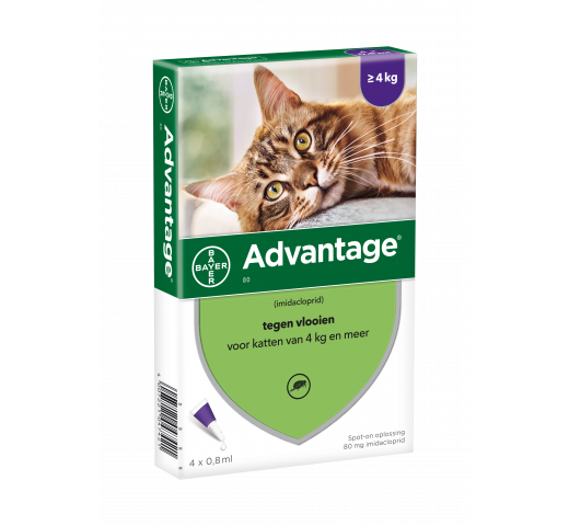 Solution antiparasitaire ponctuelle Elanco Advantage™ pour grands chats et lapins (plus de 4 kg), 4 pipettes x 0,8 ml