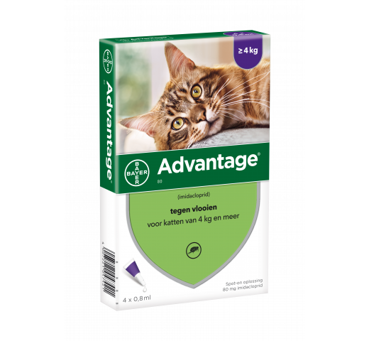 Elanco Advantage™ Antiparasitic Spot-on Solution for Large Cats and Rabbits (over 4 kg), 4 Pipettes x 0.8 ml