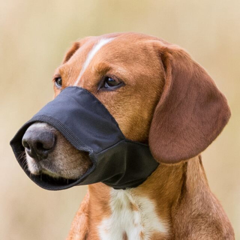 Trixie Muzzle, Nylon. Size XS, Snoup strap 16 cm, 5 cm