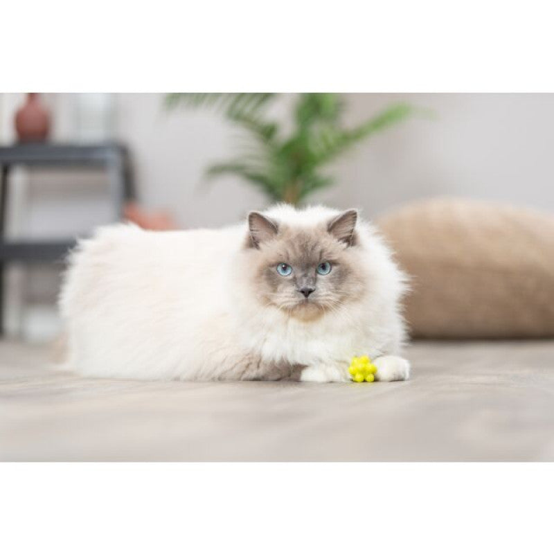 Rotaļlieta kaķiem - Trixie Set of Balls with Bumps 3.5cm, 4 gab