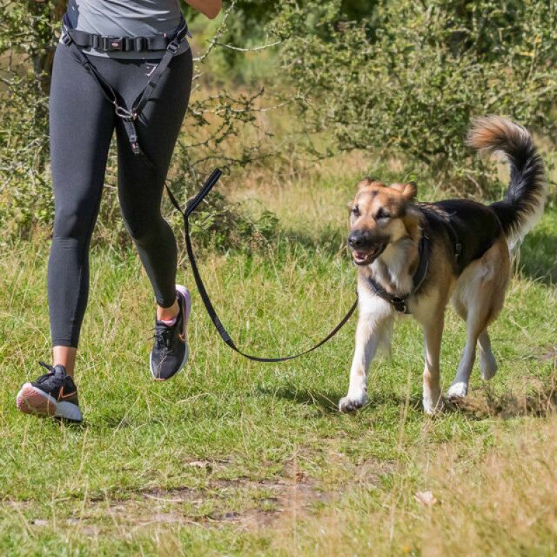 Trixie jogging lead : Trixie belt with lead, wide, neoprene padding, belt: 70-120 cm/12 cm, lead: 1,10-1,50 m/20 m.