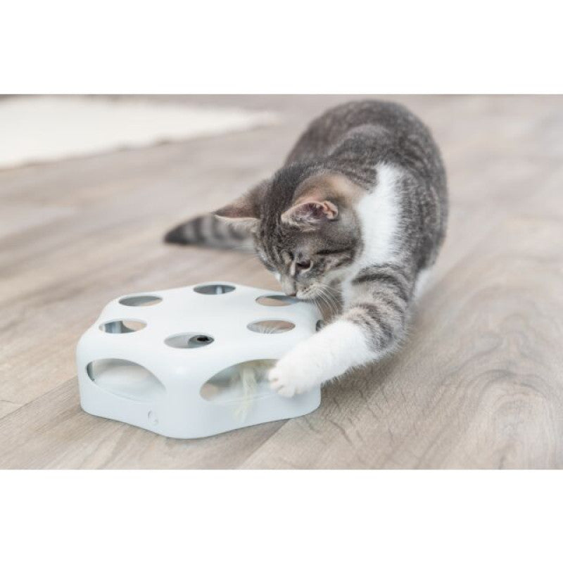 Katzenspielzeug komplett