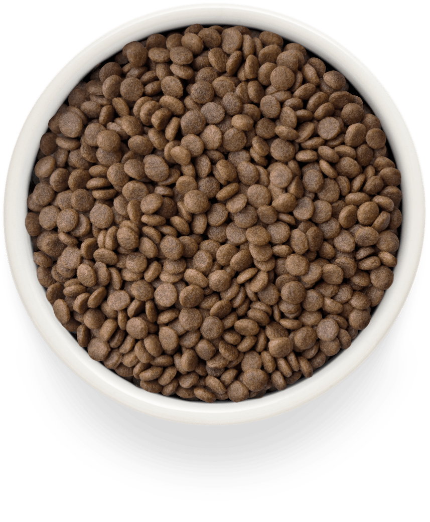 Grandorf Duck & Potatoes Adult Sterilised 400g