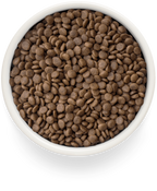 Grandorf Duck & Potatoes Adult Sterilised 400g