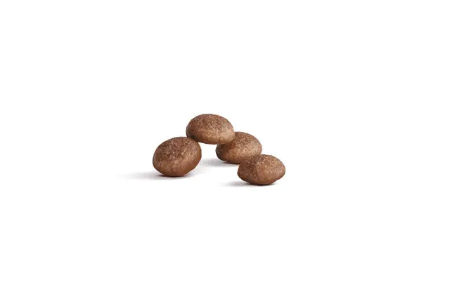 ROYAL CANIN® Ageing 15+ Cat Dry Food, 400 g
