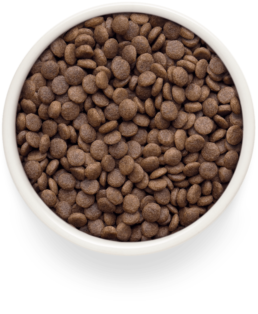 Grandorf Lamm & Potatis Vuxen Stor 400g
