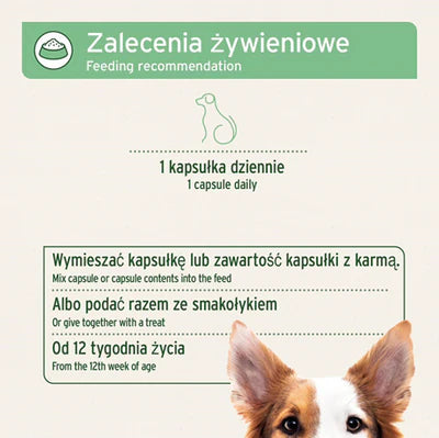 AniForte Tick Shield cápsulas para perros pequeños, 60 cápsulas