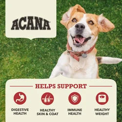 Ontario Dog Senior Mini nourriture sèche pour chiens avec agneau et riz, 2,25 kg