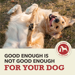 Ontario Dog Senior Mini nourriture sèche pour chiens avec agneau et riz, 2,25 kg