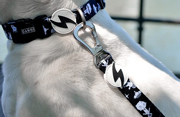 Dashi ASTRONAUT Leash XS - L (120cm x 1-2.5cm)
