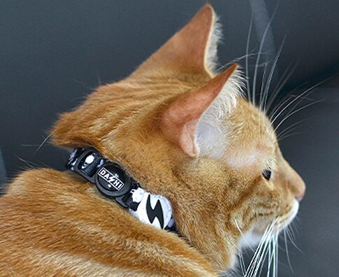 Dashi ASTRONAUT Collar For Cats XS (20-32cm)