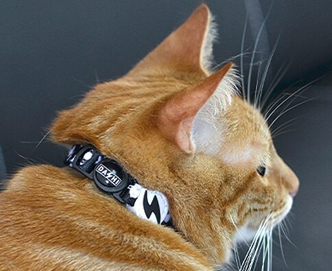 Dashi ASTRONAUT Cat Collar