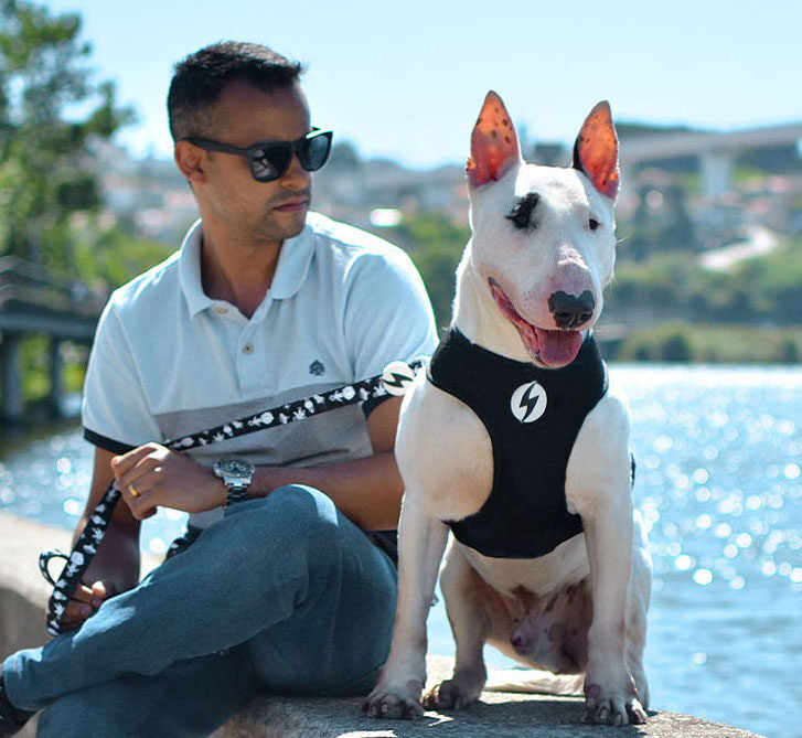 Dashi ASTRONAUT Reversible Neo Mesh Harnesses For Dogs and Cats