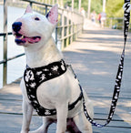 Dashi ASTRONAUT Reversible Neo Mesh Harnesses For Dogs and Cats