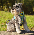Load image into Gallery viewer, Dashi AVOCADO Double Sided NeoMesh Harness for Dogs and Cats
