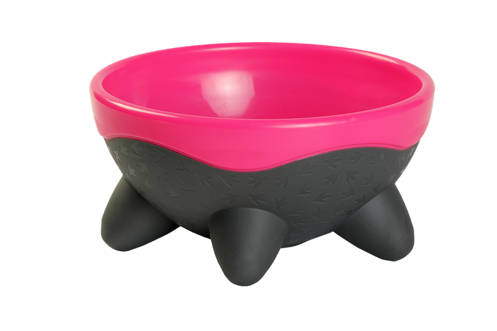 KIWI WALKER UFO Bowl Plastic Bowl for Cats