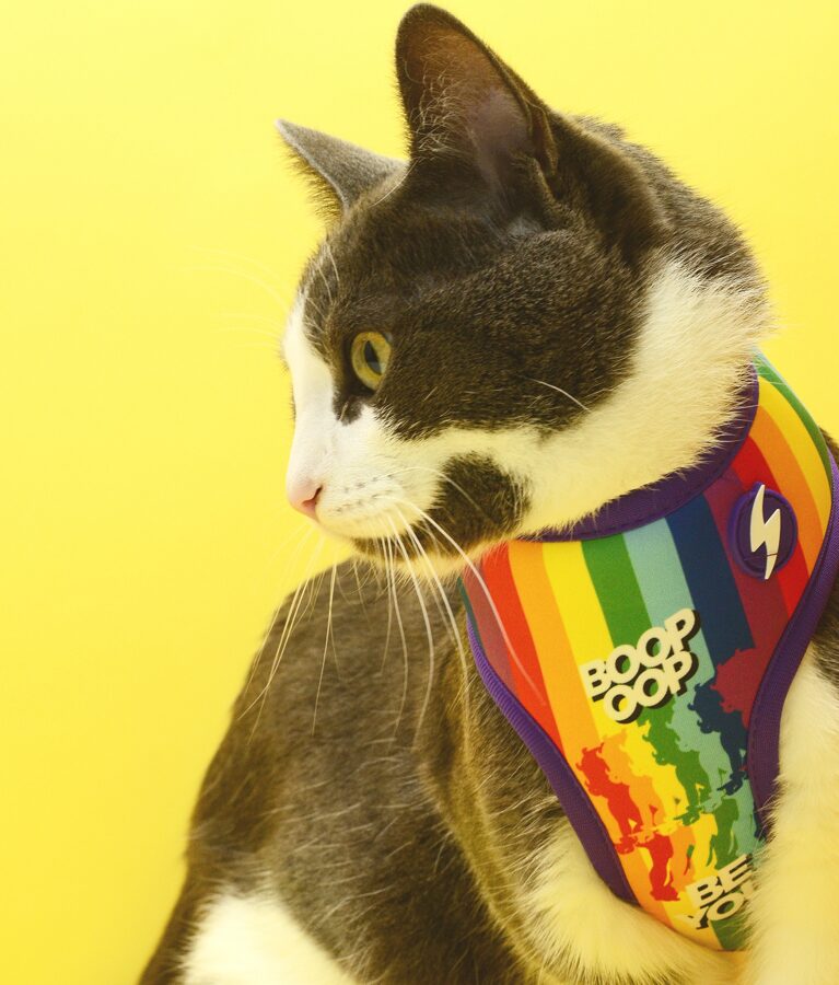 Dashi BETTY YOU Double Sided NeoMesh Harnesses For Dogs and Cats