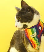 Dashi BETTY YOU Double Sided NeoMesh Harnesses For Dogs and Cats