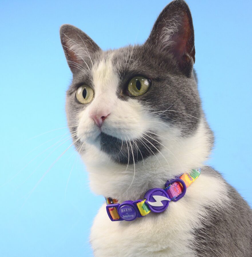 Dashi BETTY YOU Collar For Cats XS (20-32cm)