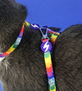 Load image into Gallery viewer, Dashi BETTY YOU Cat Harness + Leash
