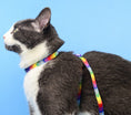 Load image into Gallery viewer, Dashi BETTY YOU Cat Harness + Leash
