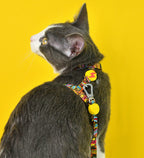 Dashi BOOM Cat Harness + Leash XS (20-30cm)
