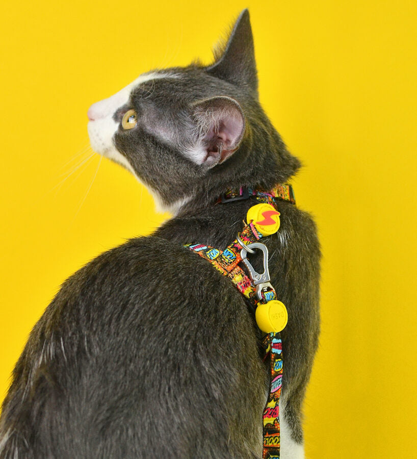 Dashi BOOM Cat Harness + Leash