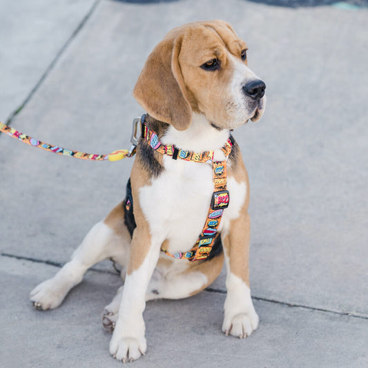 Dashi BOOM Back Harnesses For Dogs