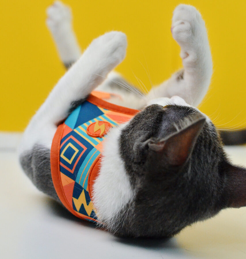 Dashi TERRACOTTA Reversible Neo Mesh Harnesses For Dogs and Cats