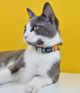 Load image into Gallery viewer, Dashi TERRACOTTA Cat Collar
