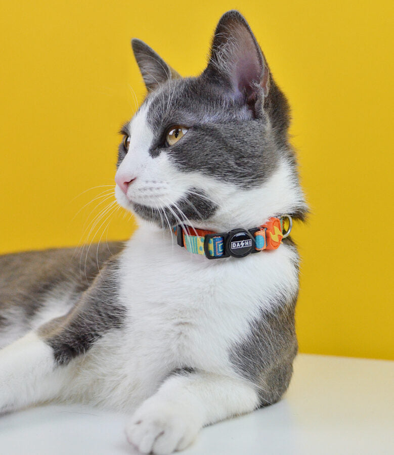 Dashi TERRACOTTA Collar For Cats XS (20-32cm)