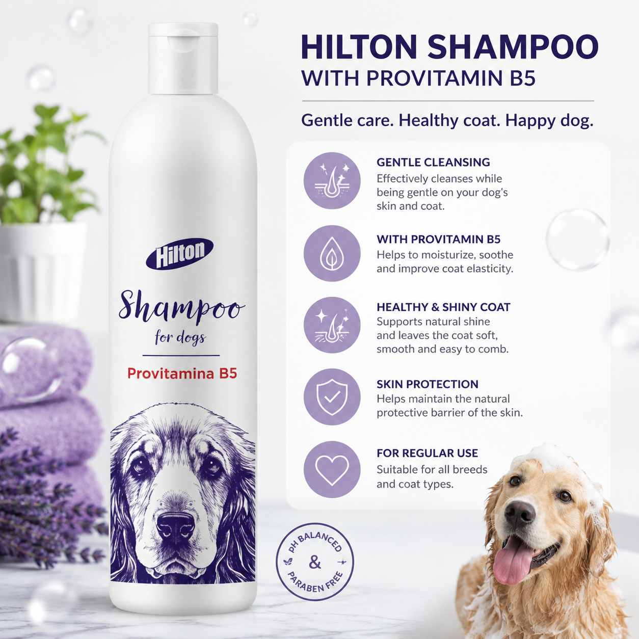 Hilton hundschampo med provitamin B5, 250 ml