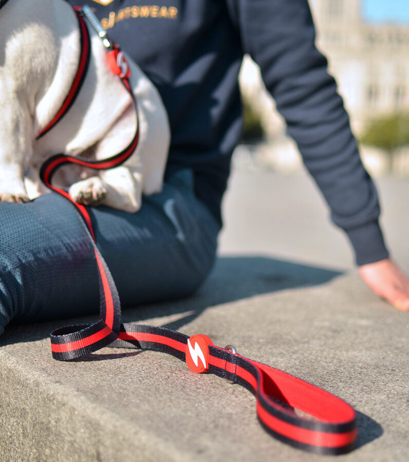 Dashi RED&BLACK Leash XS - L (120cm x 1-2.5cm)