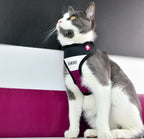 Dashi Stripes3 PURPLE&BLACK Double-Sided NeoMesh Harnesses For Dogs and Cats