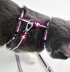 Dashi Stripes3 PURPLE&BLACK Cat Harness + Leash